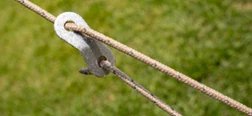 Woolf Roof Ridge 7 (Single Sky Version) Guy-Line Adjustment Buckle